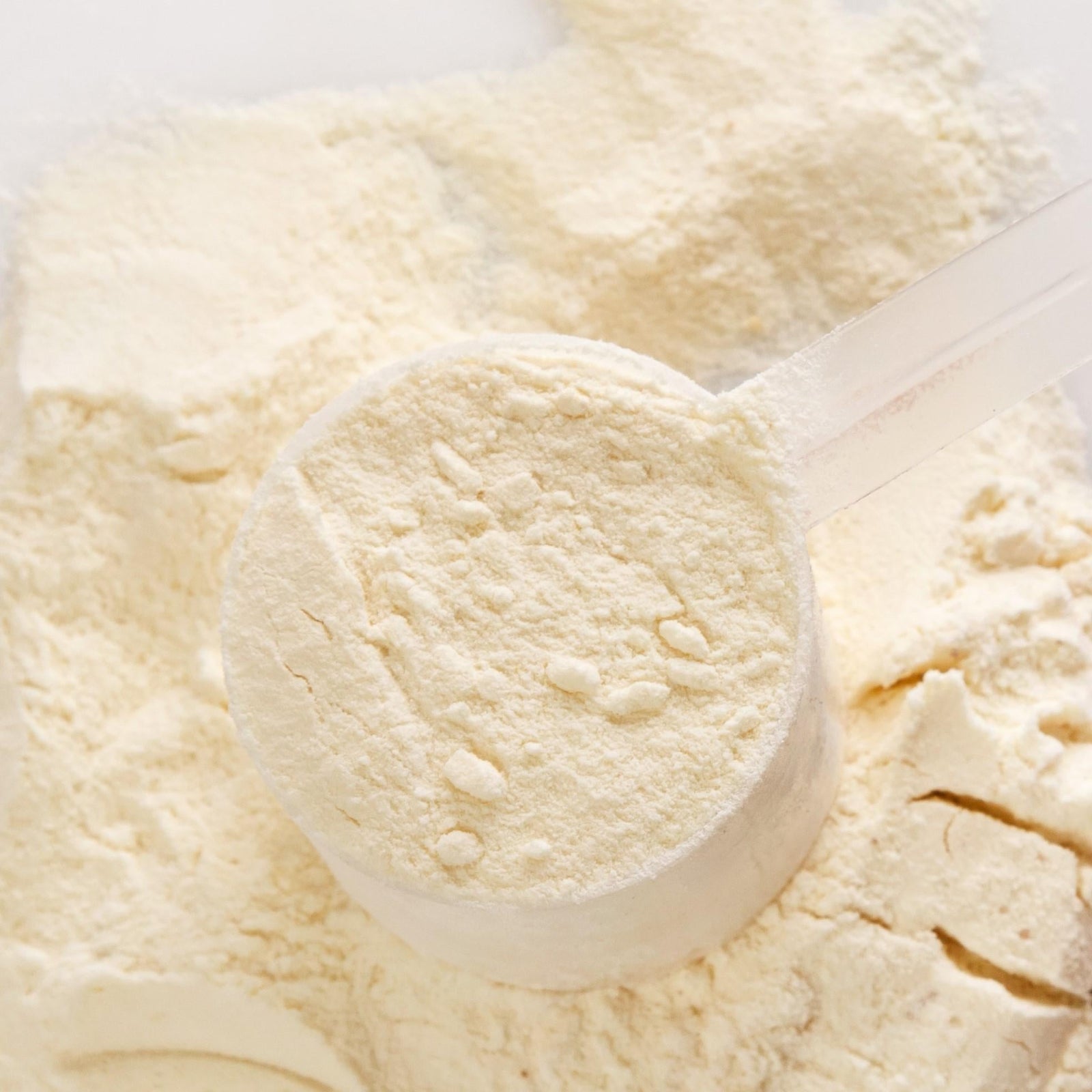 Syrovátkový protein