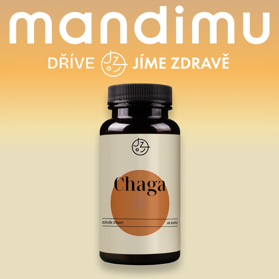 Chaga