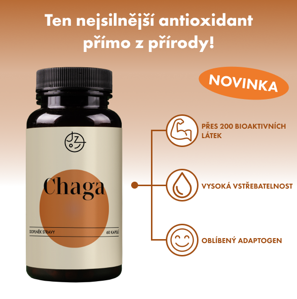 Chaga