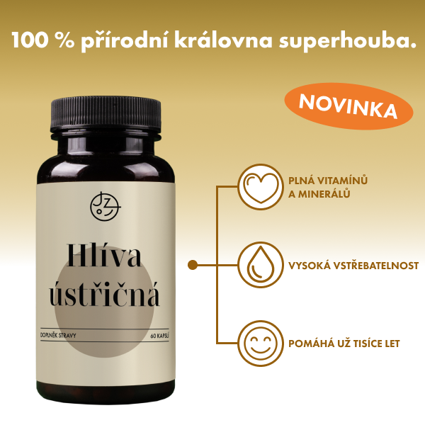 Hlíva