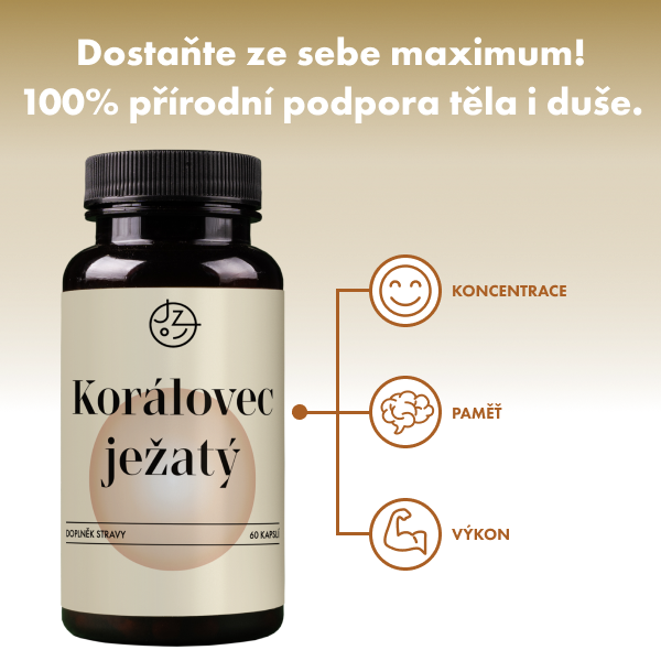 Korálovec ježatý (Lion's Mane)