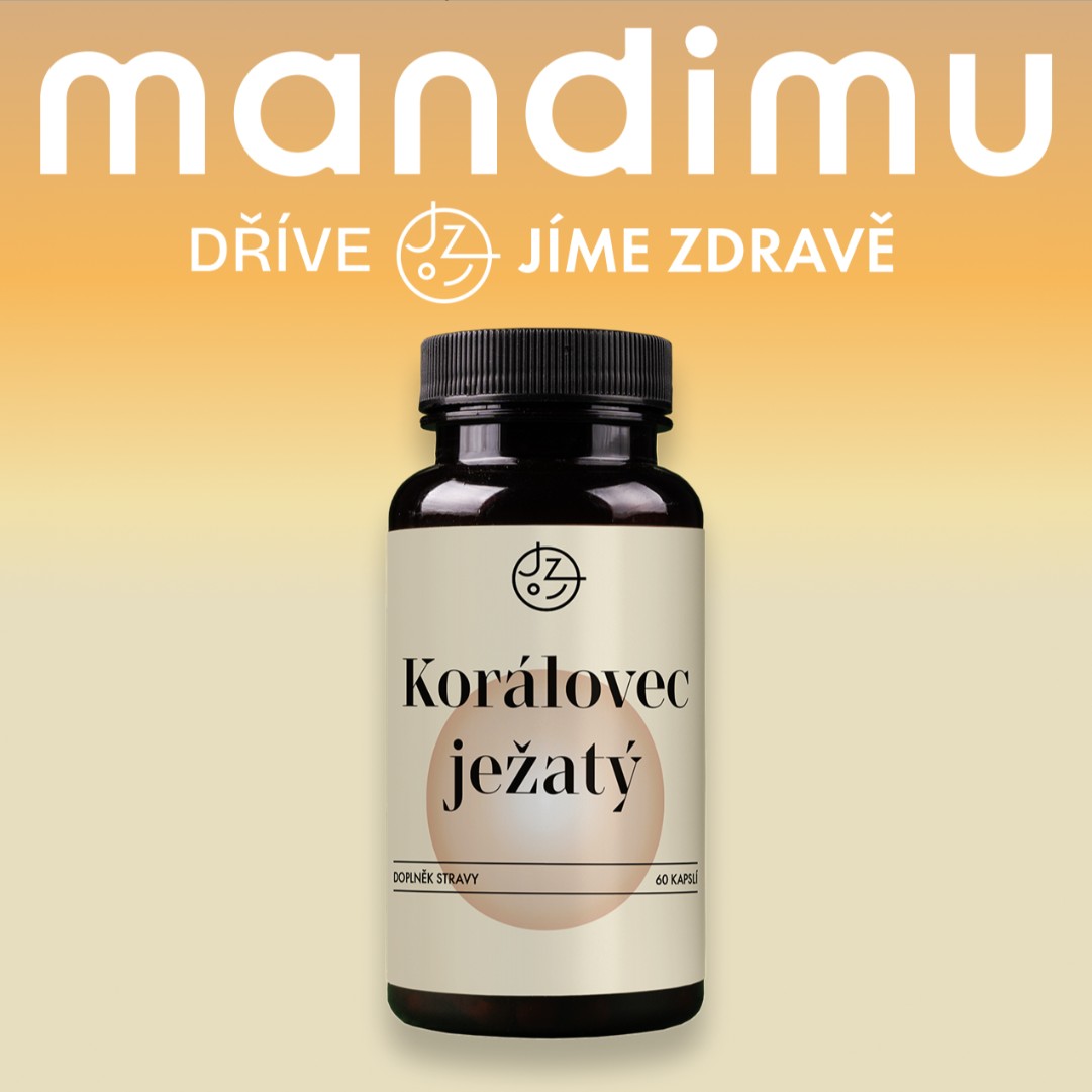 Korálovec ježatý (Lion's Mane)