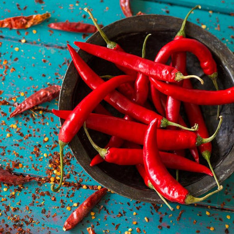 Chilli paprička