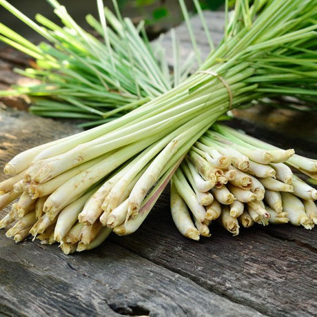 Citronová tráva
