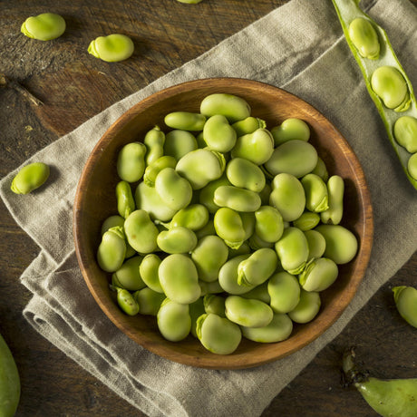 Fava fazolky