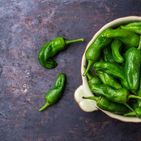 Paprička jalapeño