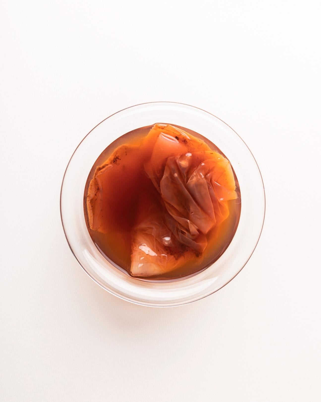 Kombucha z černého čaje