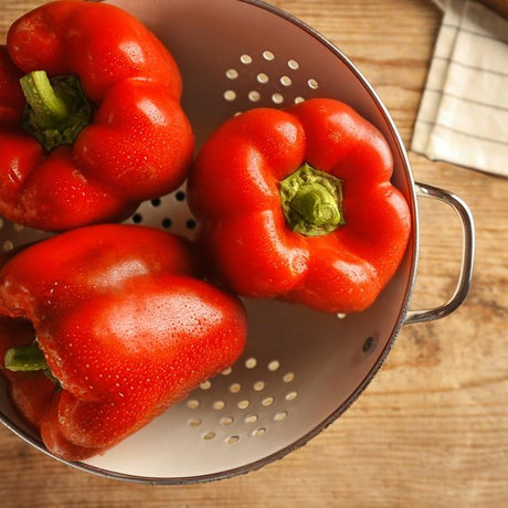 Paprika