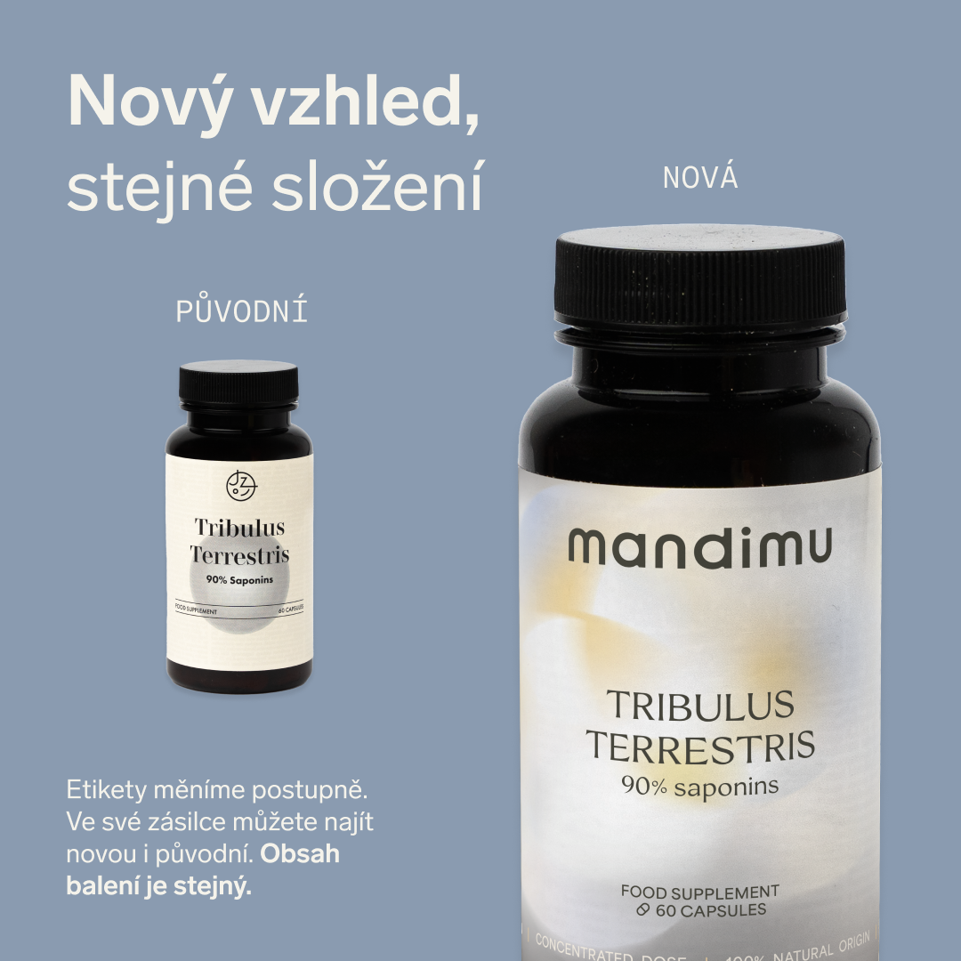 Kotvičník zemní (Tribulus terrestris)