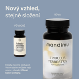 Kotvičník zemní (Tribulus terrestris)