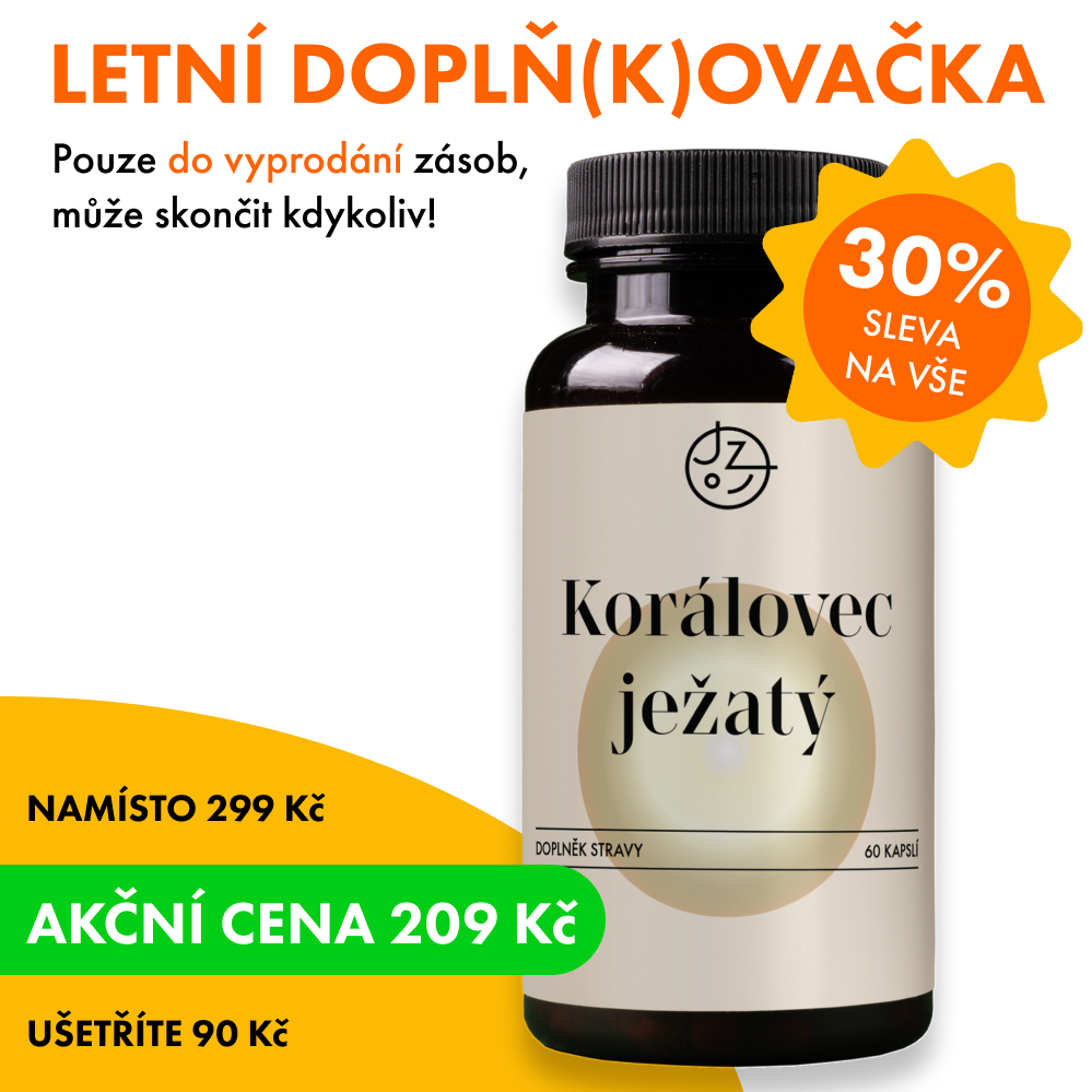 Korálovec ježatý (Lion's Mane)
