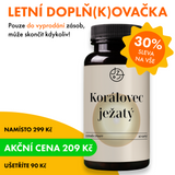 Korálovec ježatý (Lion's Mane)