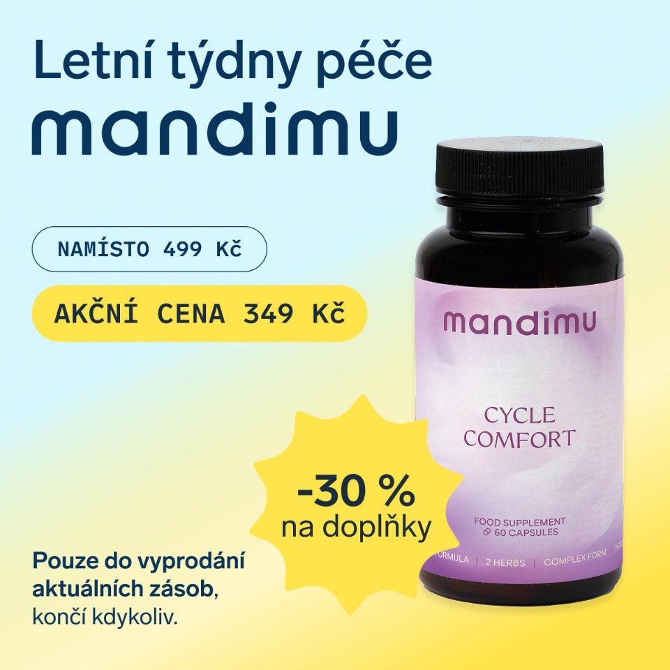 Menstruační komfort