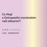 Ostropestřec mariánský (Milk thistle)
