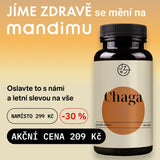 Chaga