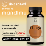 Chaga