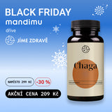 Chaga