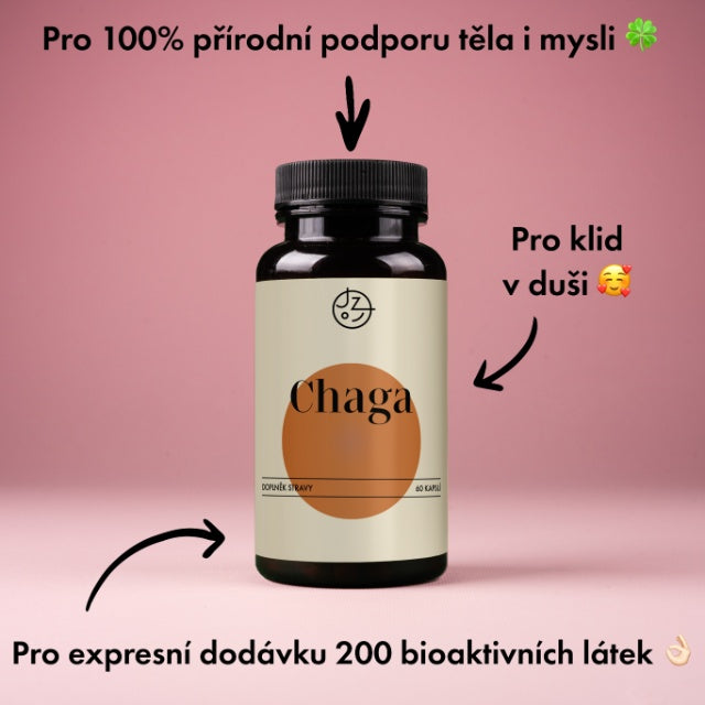 Chaga