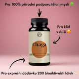 Chaga