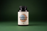 Cordyceps sinensis