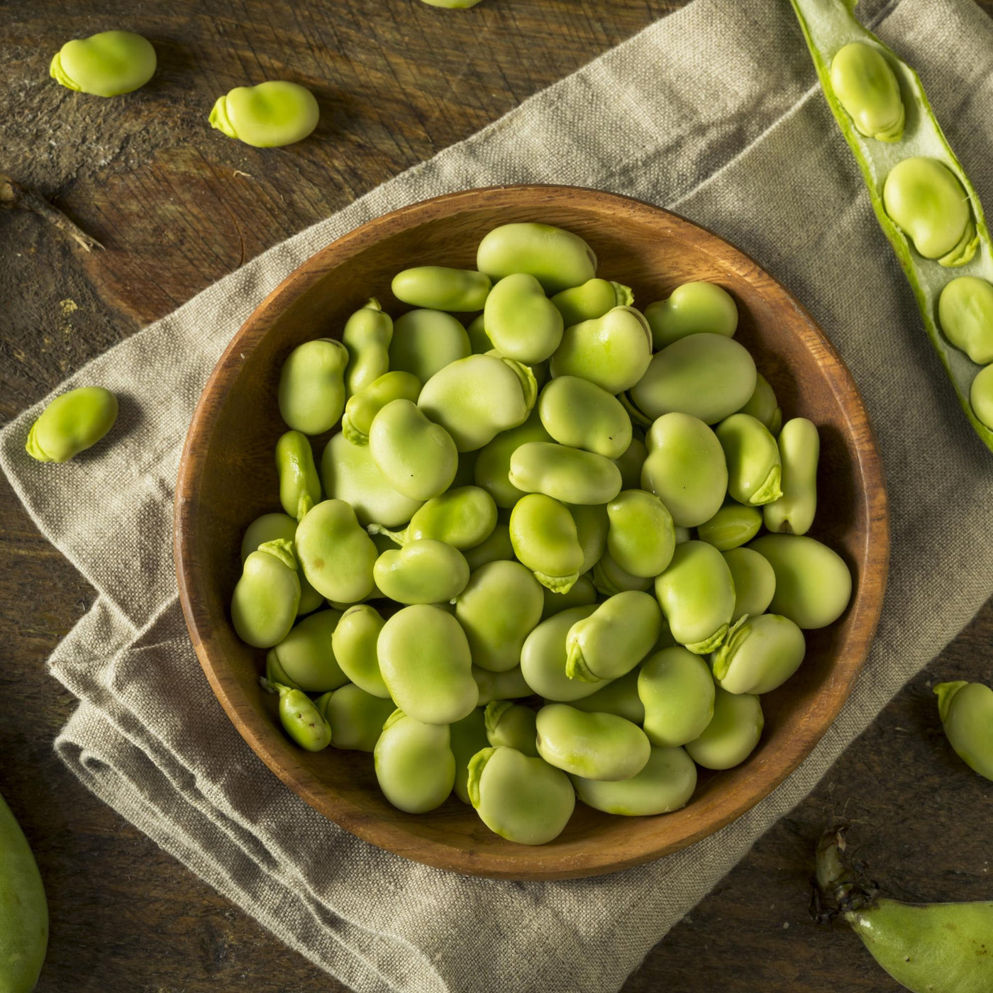 Fava fazolky