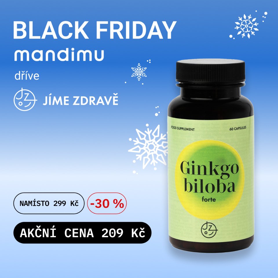 Ginkgo biloba FORTE