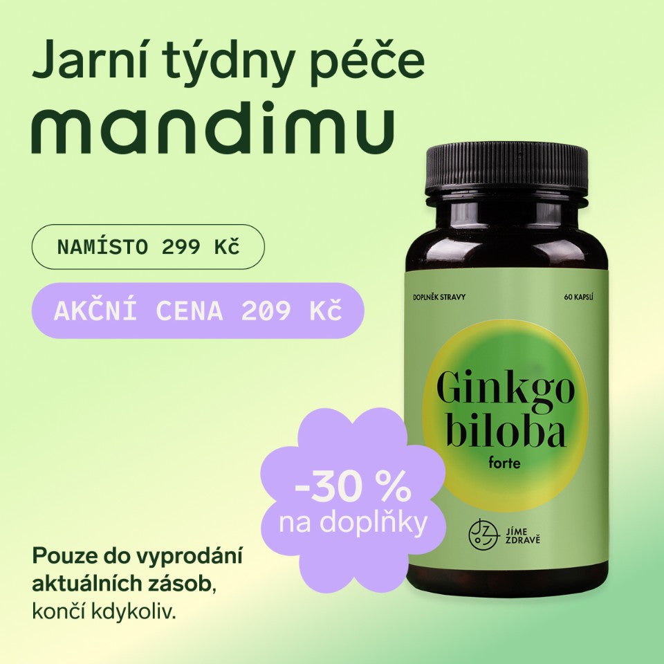 Ginkgo biloba FORTE