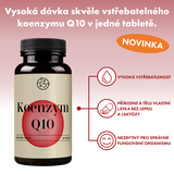 Koenzym Q10