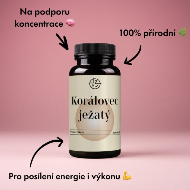Korálovec ježatý (Lion's Mane)