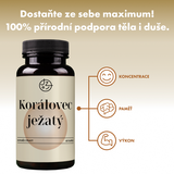 Korálovec ježatý (Lion's Mane)