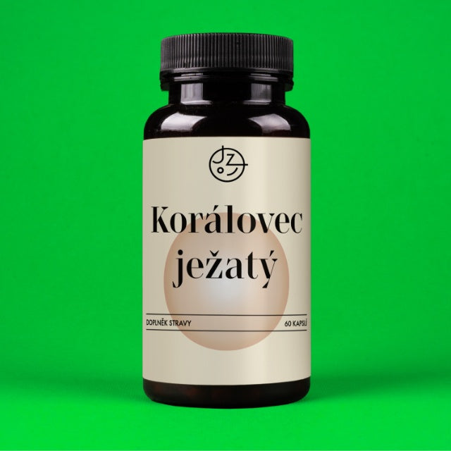 Korálovec ježatý (Lion's Mane)