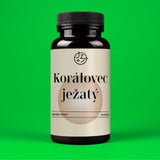 Korálovec ježatý (Lion's Mane)