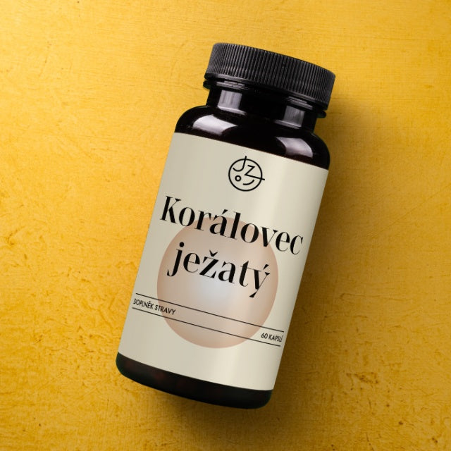 Korálovec ježatý (Lion's Mane)