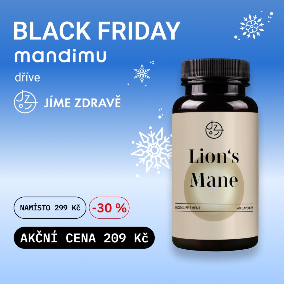 Korálovec ježatý (Lion's Mane)