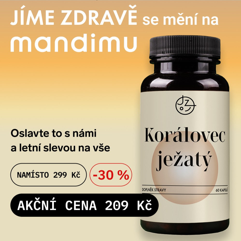 Korálovec ježatý (Lion's Mane)