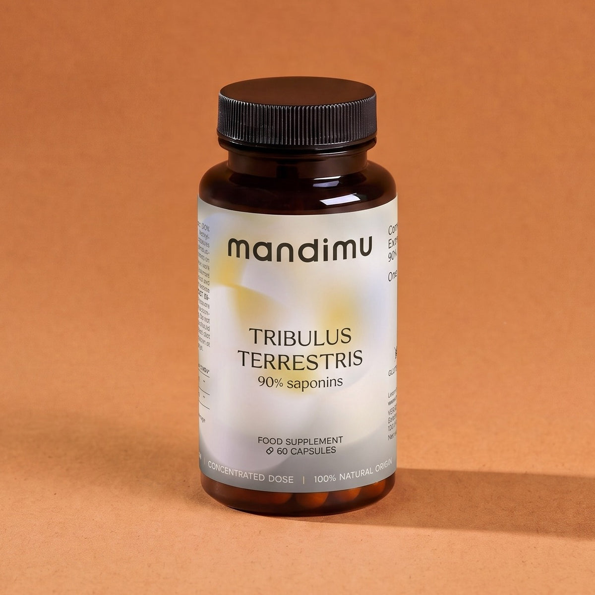 Kotvičník zemní (Tribulus terrestris)