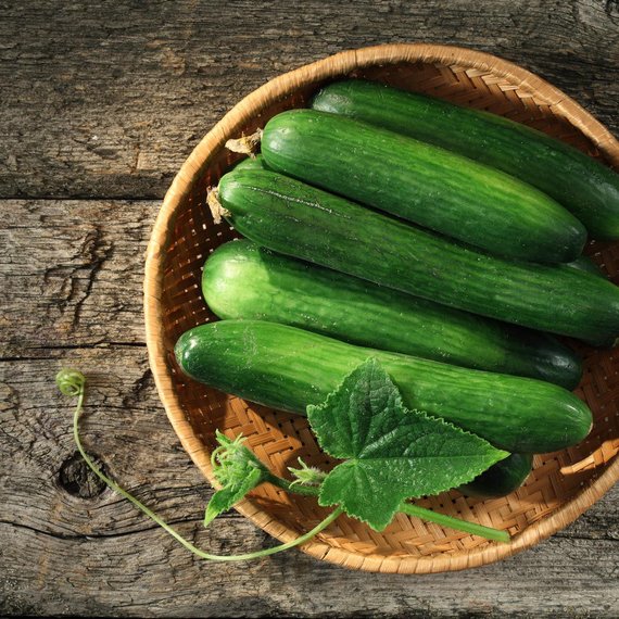 Okurka