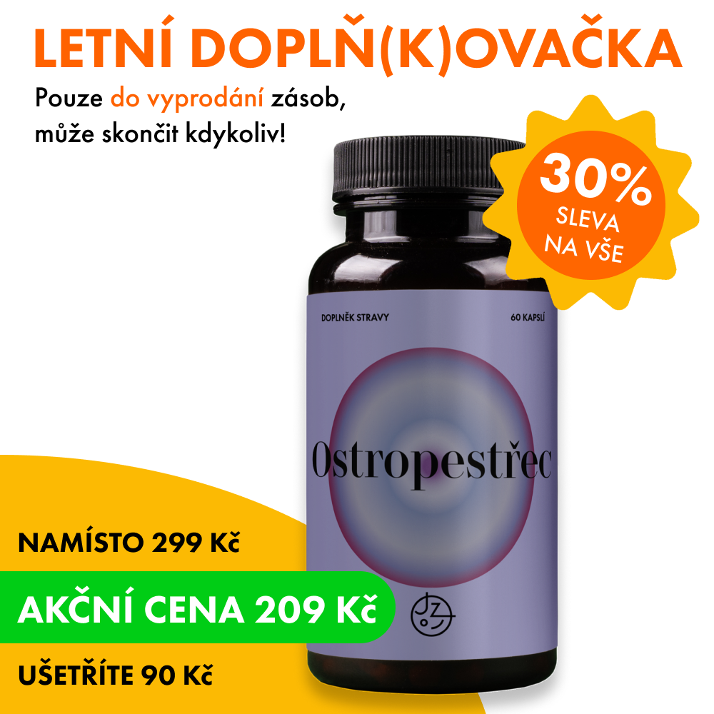 Ostropestřec mariánský (Milk thistle)