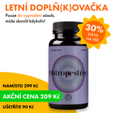 Ostropestřec mariánský (Milk thistle)