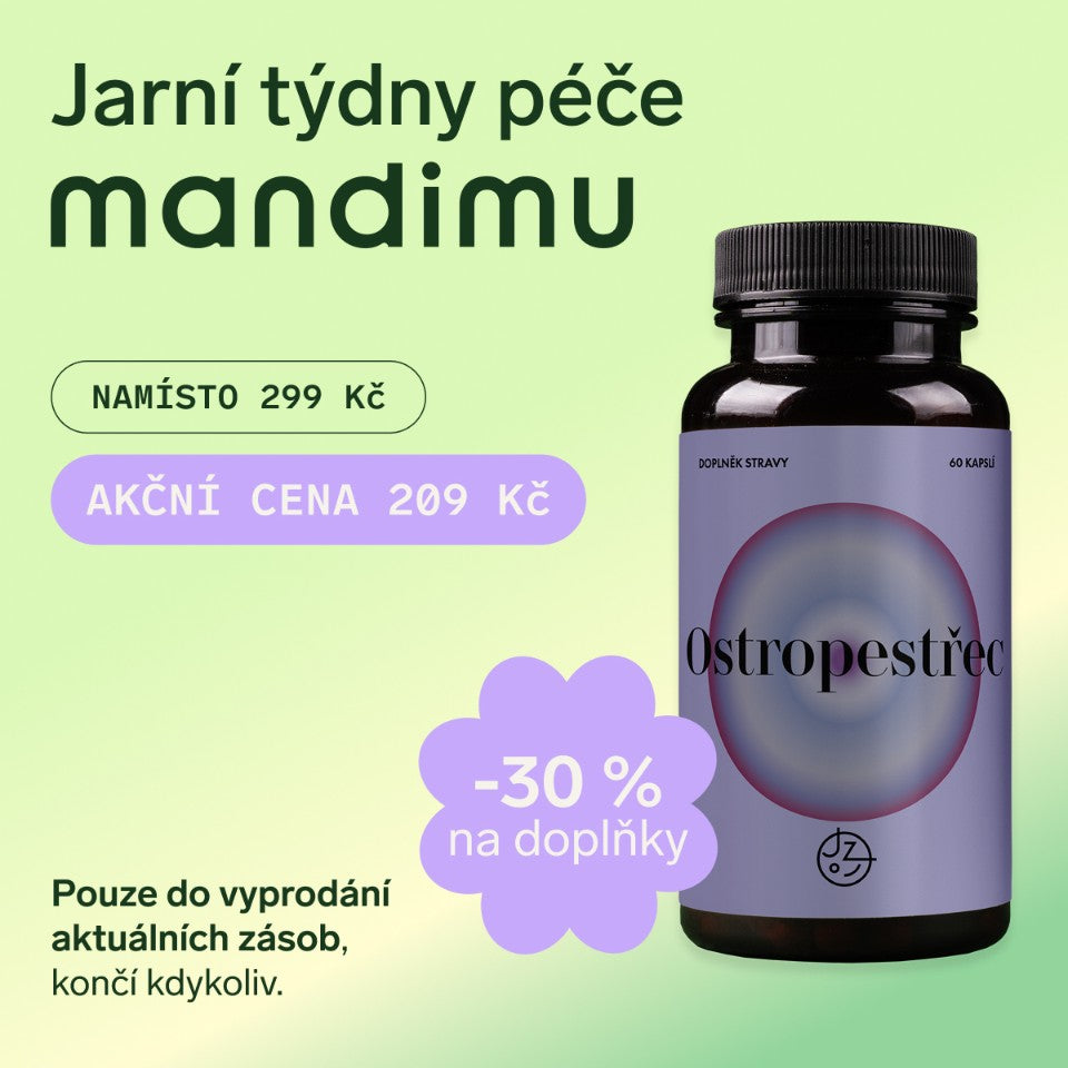 Ostropestřec mariánský (Milk thistle)