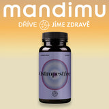 Ostropestřec mariánský (Milk thistle)