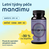 Ostropestřec mariánský (Milk thistle)