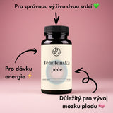Těhotenská péče