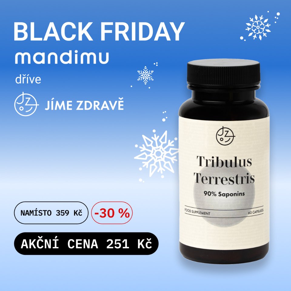 Kotvičník zemní (Tribulus terrestris)