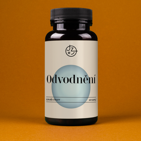 Odvodnění